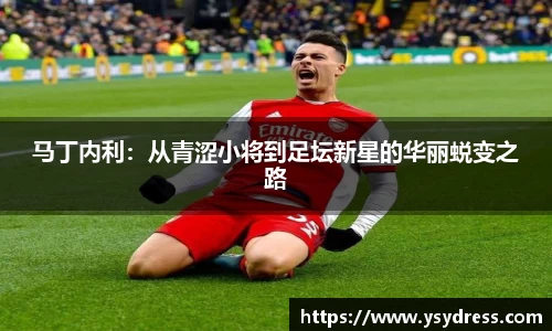 马丁内利：从青涩小将到足坛新星的华丽蜕变之路